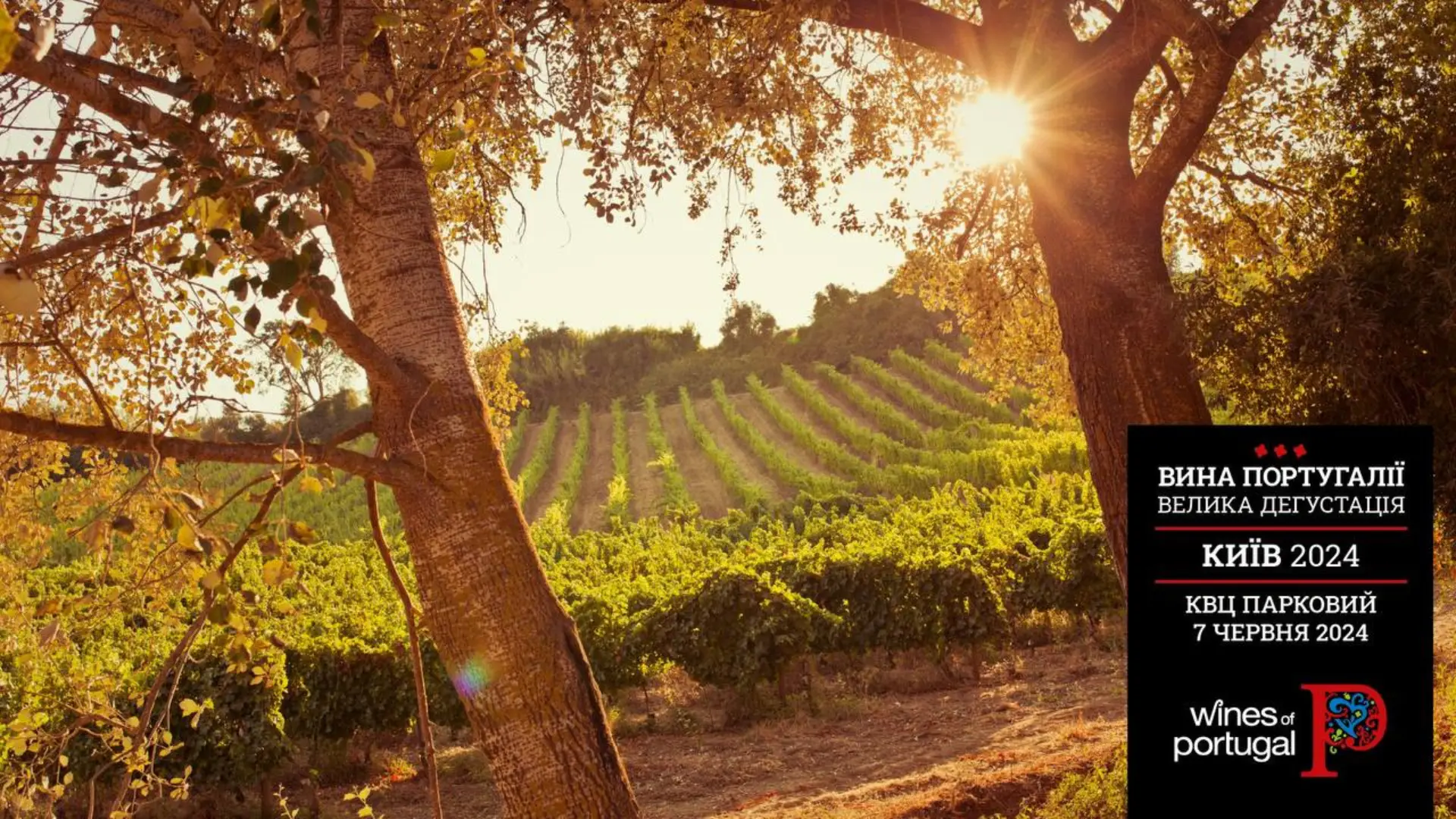 Велика Кругова Дегустація Португальських вин / Wines of Portugal Tasting 2024 у Києві