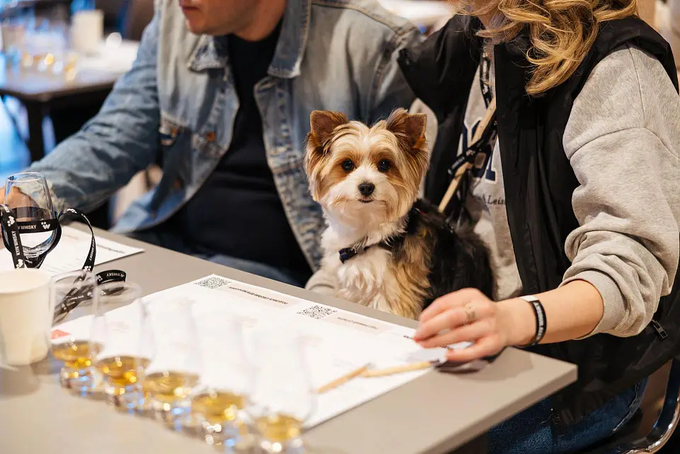 Традиційно у “Парковому”: Kyiv Whisky Show